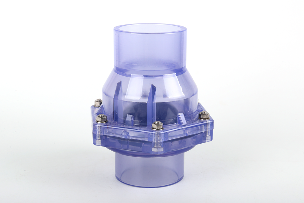 丰县透明翻板式止回阀